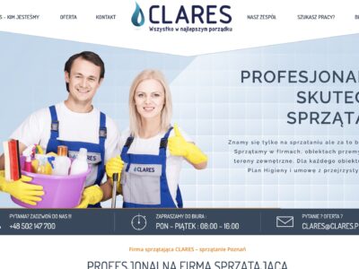 Ile roztoczy żyje w dywanie biurowym – sprawdzone liczby i wpływ