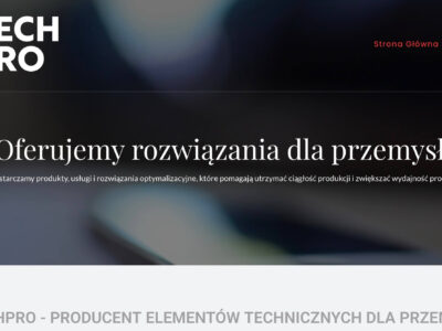 Jak działa blokada kontenera na widłach – zasada