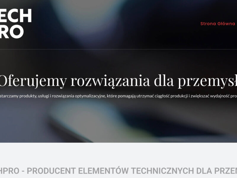 Jak działa blokada kontenera na widłach – zasada